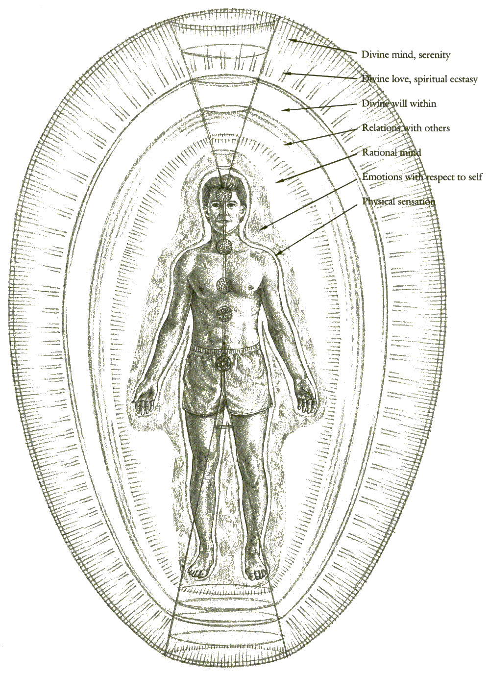 a diagram of the human energy system